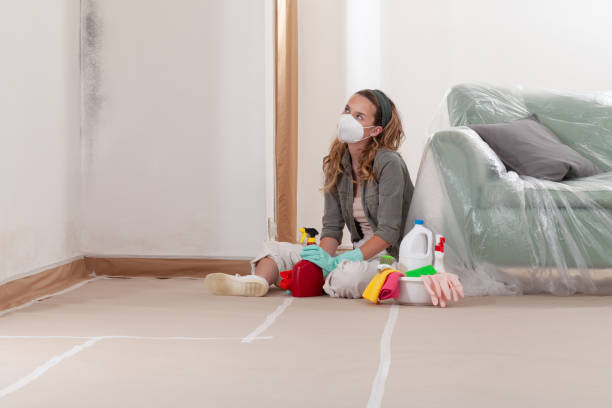 Trusted Crawl Space Mold Removal service in Pacific, WA - WQB Mold Removal