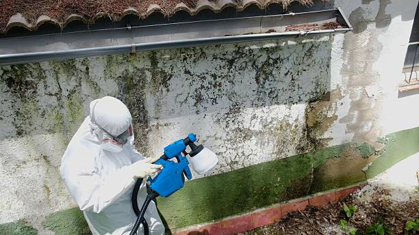 Top rated local Crawl Space Mold Removal specialists in Pacific, WA